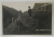 VACAR DIN CARPATI , FOTOGRAFIE TIP CARTE POSTALA , INTERBELICA