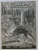 VANATORUL  - REVISTA ASOCIATIEI GENERALE A VANATORILOR DIN R.P.R. , ANUL V , NR . 9 , SEPTEMBRIE , 1953