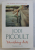 VANISHING ACTS by JODI PICOULT, 2005