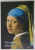 VERMEER 'S WORLD , AN ARTIST AND HIS TOWN by IRENE NETTA , 2004