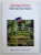 VISARILE UNUI HOINAR SINGURATIC de JEAN - JACQUES ROUSSEAU , 2006