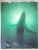 WAKE OF THE WHALE , text by KENNETH BROWER , photographs WILLIAM R. CURTSINGER , 1979
