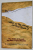WHAT IS THE NAME OF THIS BOOK ? by RAYMOND M. SMULLYAN , THE RIDE OF DRACULA AND OTHER LOGICAL PUZZLES 2011
