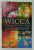 WICCA , WHEEL OF THE YEAR MAGIC by LISA CHAMBERLAIN , 2017