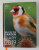 WILD IN THE GARDEN - DIARY 2019