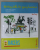 WRITING SKILLS FOR YOUNG LEARNERS , RACERS by IULIA PERJU , 2012