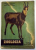 ZOOLOGIA MANUAL PENTRU CLASA A IX-A de CONSTANTIN BOGOESCU, EMIL SANIELEVICI , CORALIA NITESCU - VERNESCU , 1962
