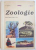 ZOOLOGIE, MANUAL PENTRU CLASA A VI - A de C. BOGOESCU, AL. DABITA, A. STOICESCU, 1978