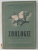 ZOOLOGIE - MANUAL PENTRU CLASA a - VI - a de E. SANIELEVICI , L. POPOVICI , ALEX DABIJA , 1957