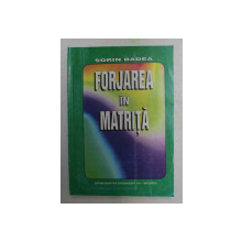 FORJAREA IN MATRITA de SORIN BADEA , 1998