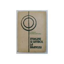 IMAGINE SI SIMBOL LA BRANCUSI-ADRIAN PETRINGENARU, BUC.1983