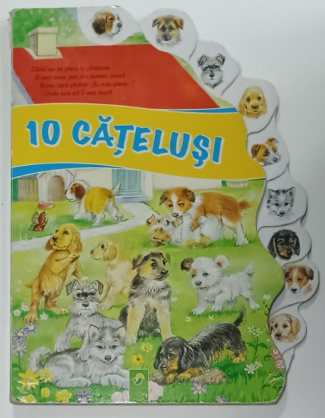 10 CATELUSI ,  CARTE INTERACTIVA PENTRU COPII , ANII '2000