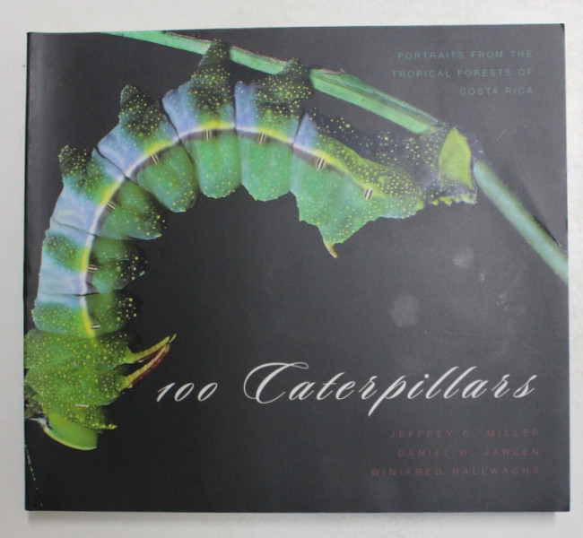 100 CATERPILLARS by JEFFREY C. MILLER ...WINIFRED HALLWACHS , 2006