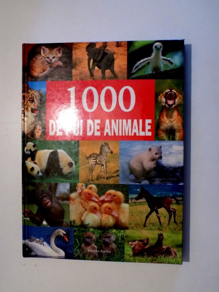 1000 DE PUI DE ANIMALE , 2008
