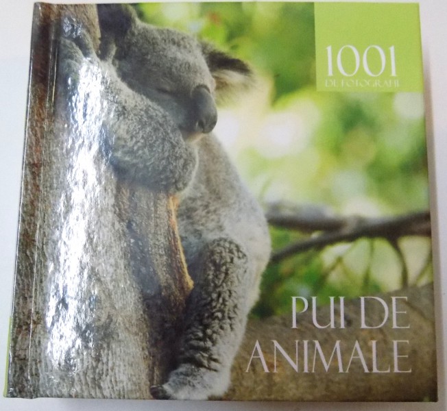 1001 DE FOTOGRAFII PUI DE ANIMALE , 2008