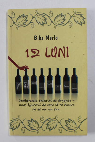 12 LUNI de BIBA MERLO , 2008