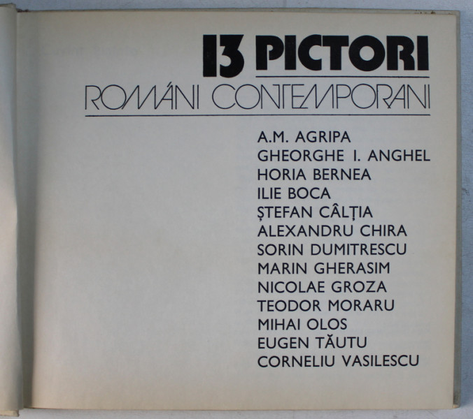13 PICTORI ROMANI CONTEMPORANI de ALEXANDRA TITU , 1983