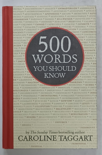 500 WORDS YOU SHOULD KNOW by CAROLINE TAGGART , 2014