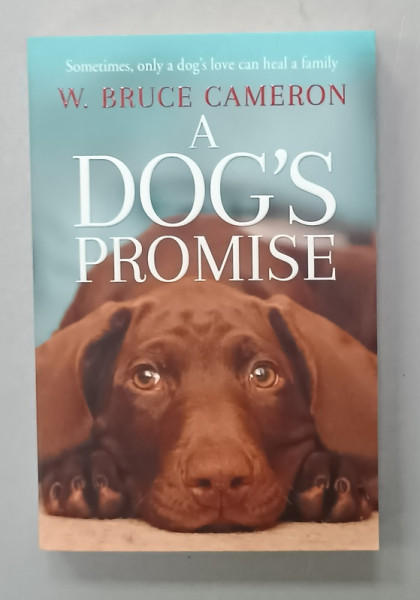 A DOG 'S PROMISE by W. BRUCE CAMERON , 2019