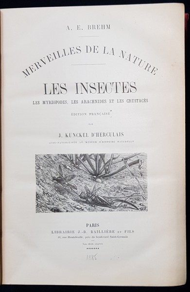 A. E. BREHM, MERVEILLES DE LA NATURE, LES INSECTES, LES ARACHNIDES ET LES CRUSTACES par J. KUNCKEL D'HERCULAIS, 2 VOL. - PARIS, 1885