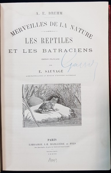 A. E. BREHM, MERVEILLES DE LA NATURE, LES REPTILES ET LES BATRACIENS par E. SAUVAGE - PARIS, 1889