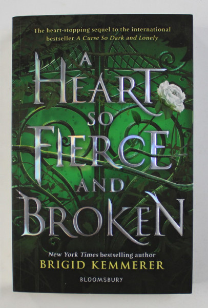 A HEART SO FIERCE AND BROKEN by BRIGID KEMMERER , 2020