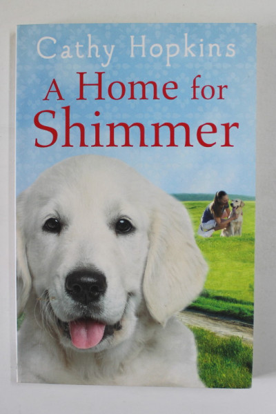 A HOMME FOR SHIMMER by CATHY HOPKINS , 2015