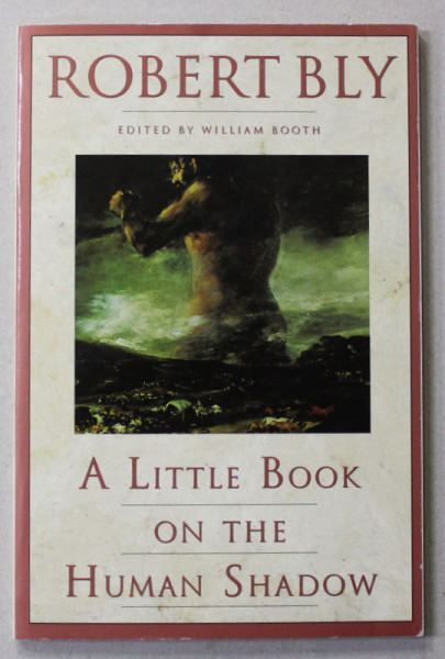 A LITTLE BOOK ON THE HUMAN SHADOW by ROBERT BLY , 1988