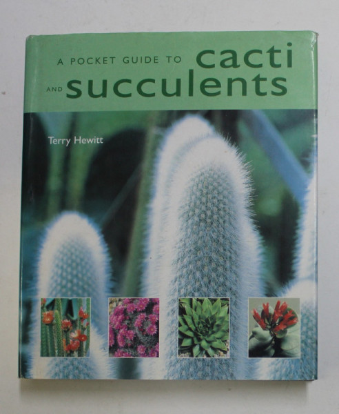 A POCKET GUIDE TO CACTI  and SUCCULENTS by TERRY HEWITT , 2004
