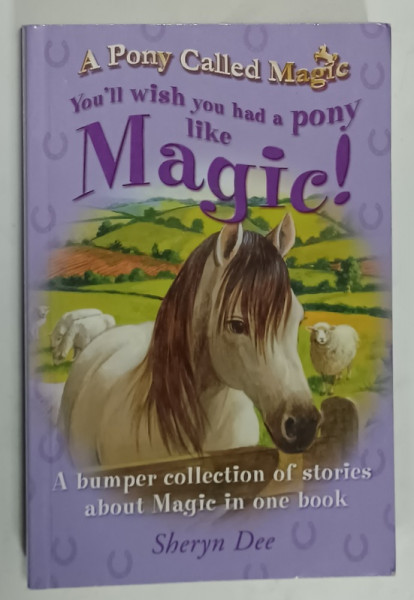 A PONY CALLED MAGIC , YOU 'LL WISH YOU HAD A PONY LIKE MAGIC ! by SHERYN DEE , illustrated by MATT COSGROVE , 2003