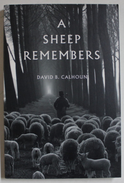 A SHEEP REMEMBERS by DAVID B. CALHOUN , 2021