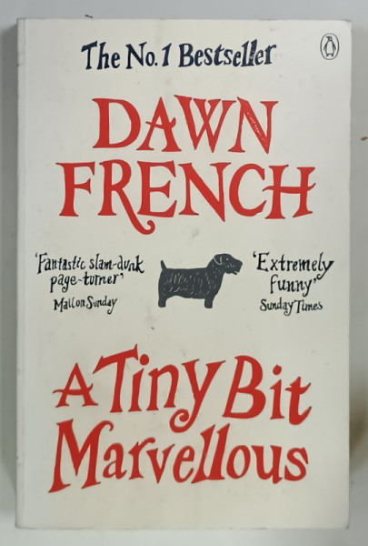A TINY BIT MARVELLOUS by DAWN FRENCH , 2011