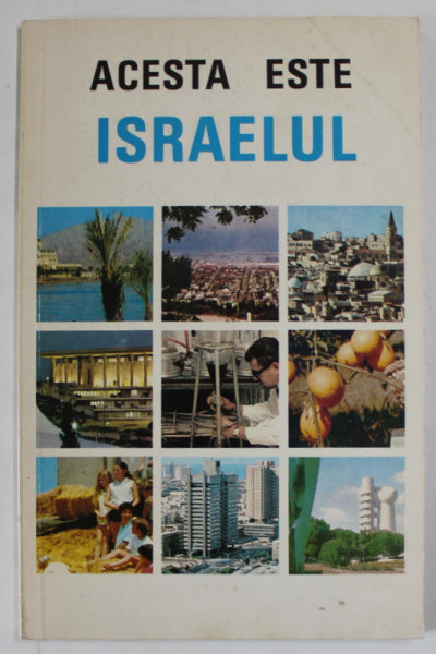 ACESTA ESTE ISRAELUL , ANII '80