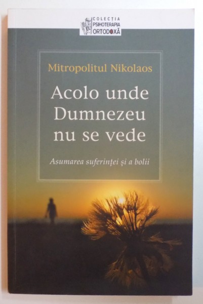 ACOLO UNDE DUMNEZEU NU SE VEDE , ASUMAREA SUFERINTEI SI A BOLII de NIKOLAOS , 2014