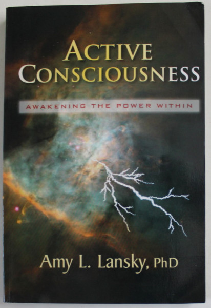 ACTIVE CONSCIOUSNESS , AWAKENING THE POWER WITHIN by AMY L..LANSKY , 2011