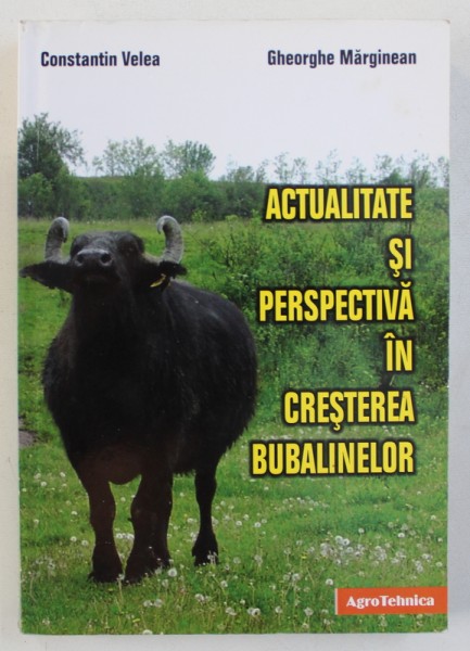 ACTUALITATE SI PERSPECTIVA IN CRESTEREA BUBALINELOR de GHEORGHE MARGINEAN , 2006