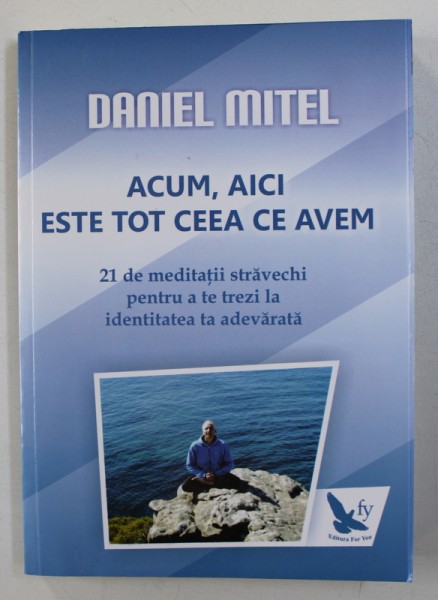 ACUM , AICI ESTE TOT CEEA CE AVEM de DANIEL MITEL , 2014