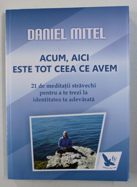 ACUM , AICI ESTE TOT CEEA CE AVEM de DANIEL MITEL , 2014 *PREZINTA SUBLINIERI IN TEXT