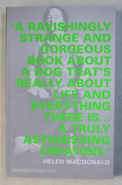 AFTERGLOW (A DOG MEMOIR) by EILEEN MYLES , 2017