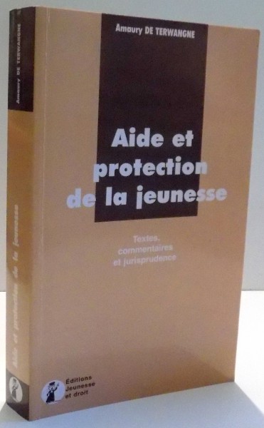 AIDE ET PROTECTION DE LA JEUNESSE par AMAURY DE TERWANGNE , 2001