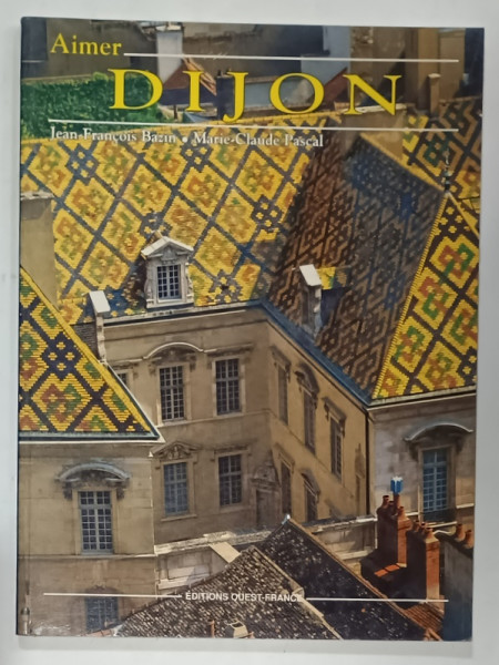 AIMER DIJON par JEAN - FRANCOIS BAZIN et MARIE - CLAUDE PASCAL , 1991