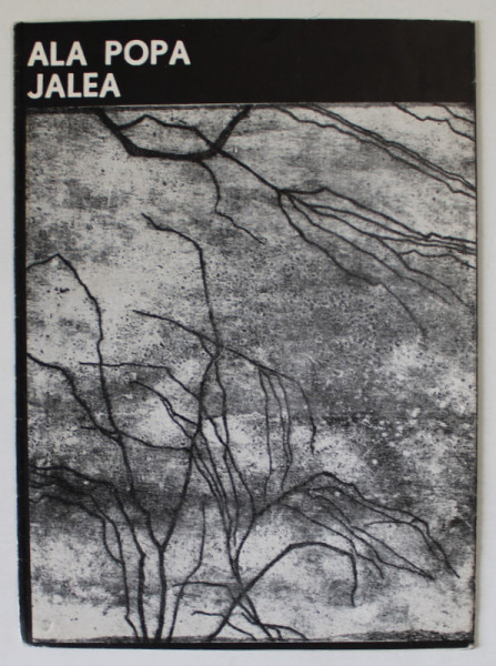 ALA POPA JALEA , EMILIA DUMITRESCU , PUIA MASICHIEVICI MISU , ILEANA MICODIN , EXPOZITIE COLECTIVA DEJ GRAVURA , CATALOG , 1970
