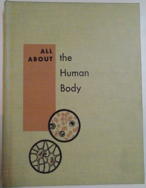 ALL ABOUT THE HUMAN BODY by BERNARD GLEMSER , 1958