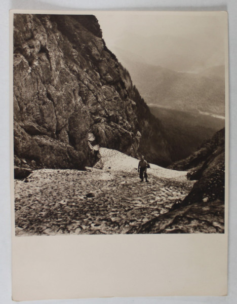 ALPINIST PE VALEA ALBA , FOTOGRAFIE , AUGUST 1936