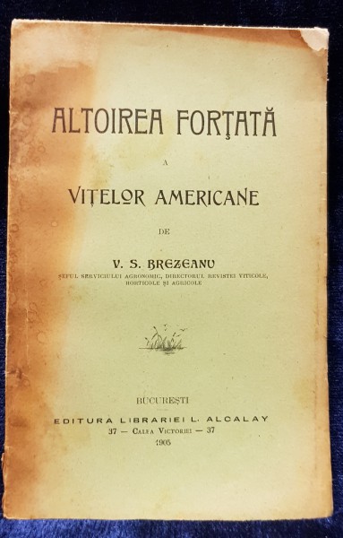ALTOIREA FORTATA A VITELOR AMERICANE de V. S. BREZEANU - BUCURESTI, 1905