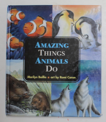 AMAZING THINGS ANIMALS DO by MARILYN BAILLIE , art by ROMI CARON , 2003