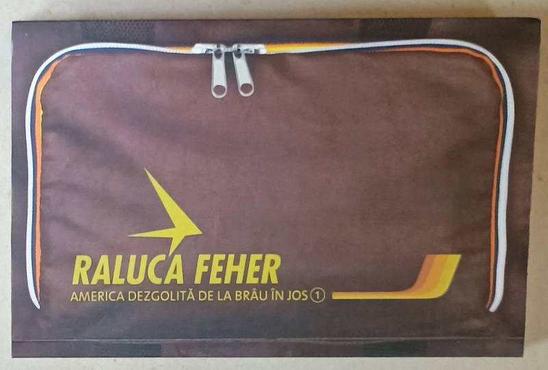 AMERICA DEZGOLITA DE LA BRAU IN JOS de RALUCA FEHER , VOLUMUL I , 2015