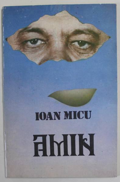 AMIN de IOAN MICU , ANII '90