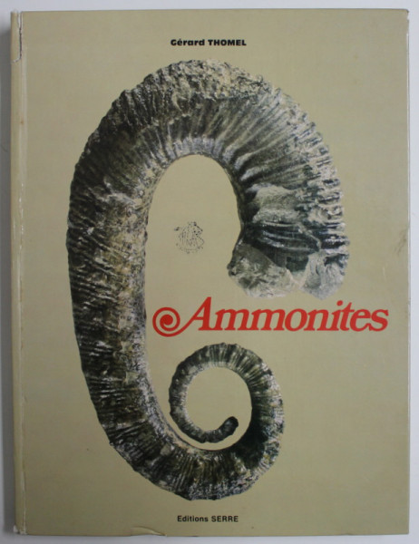 AMMONITES par GERARD THOMEL , 1980