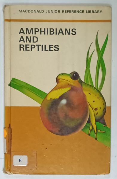 AMPHIBIANS AND REPTILES , 1974, COTOR CU DEFECTE